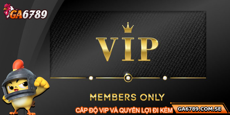 Cấp độ VIP và quyền lợi đi kèm