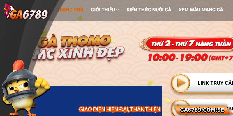 Giao diện cá cược đá gà AOE hiện đại, hiển thị kèo rõ ràng và trực tiếp trận đấu