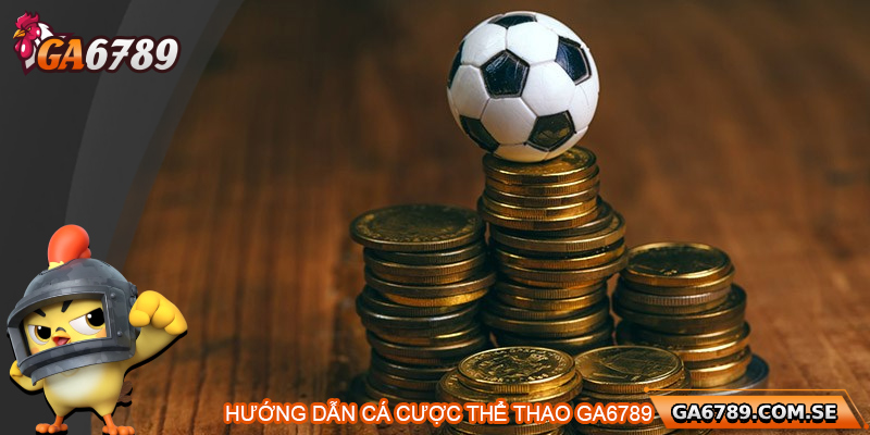 Thể Thao Ga6789 Cá Cược Đa Dạng, Uy Tín Và Hấp Dẫn 4 Hướng dẫn chi tiết cách tham gia cá cược thể thao Ga6789
