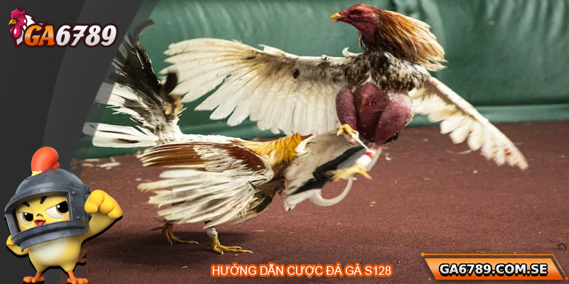 Đá Gà S128 – Đỉnh Cao Cá Cược Gà Chọi Trực Tuyến 2 Hướng dẫn tham gia sảnh cược đá gà S128